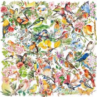 50PCS Transparent INS Watercolor Bird Sticker Pack-Waterproof PET for Scrapbooking Guitar&Notebook Decor RecordingYourLife Store