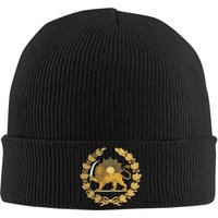 Lion and Sun Emblem of Persia Iran Knit Hat Vintage Caps Men Women Outdoor Beanie Hats Winter Printed Warm Bonnet Hats