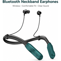 Bluetooth Earphones Wireless In-Ear Sport Headset, 100H Playtime, 800mAh Battery, Built-in Mic, Type-C Charging, Neckband Design
