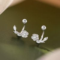 Silver Plated Exquisite Flower Shiny Zircon Stud Earrings for Charm Women Fine Jewelry Light Luxury Accessories