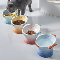Mangeoire en céramique pour animaux de compagnie, bol à friandises pour chien, assiette à manger, plats surélevés pour chaton, décoratif, créatif, eau