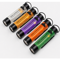 Mini 5050 Rechargeable LED Pocket Flashlight Clip-On Hat Light Keychain Torch Portable Work Lamp for Camping Hiking Outdoor Use