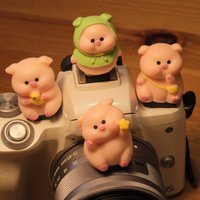 Cute Cartoon Animal Hot Shoe Cover ABS Resin Dustproof Cap for DSLR Mirrorless. Durable Stylish Camera Decoration Accessory