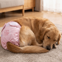 Washable Pet Sanitary Pants Breathable Adjustable Female Dog Diapers Politeness Belt Snaps Belly Pet Physiological Pants