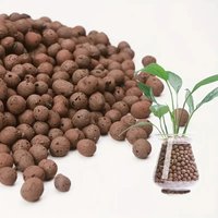 1pc Garden Hydroponic Expanded Clay Pebbles – Organic Ceramic Oval Pellets for Pots Planters Orchids Succulents Bottom Drainage