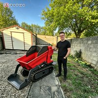 Tracked Mini Dumper Manual Control Easy Dumping Design Stable Running Suitable For Small Engineering Projects Customized