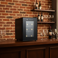 6 Bottles Wine Cooler Refrigerator 16L Wine Cabinet Fridge standing