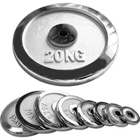 New Product Fitness Dumbbell Barbell Disc 1 Inch Chrome Finished Cast Iron Standard Weight Plates