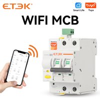 ETEK Tuya WIFI Smart Circuit Breaker MCB Smart Life Remote Control Short Circuit Protection Timed 2P 16A 25A 32A 40A 63A EKR3