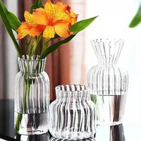 Glass Vase Transparent Hydroponic Striped Vase Small Fresh Dried Flowers Fresh Flowers Table Decoration Flower Arrangement Vase