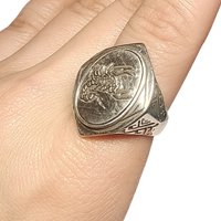 8.8g Muonionalusta meteorite S925 Silver Ring Natural iron meteorite pendant MeteoriteHandmade jewelry Silver Ring --K25