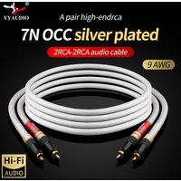 YYAUDIO Hi-End 7N OCC câble Audio 2RCA plaqué argent câble Audio 12 brins câble HIFI 2RCA à 2RCA avec câble de prise WBT RCA