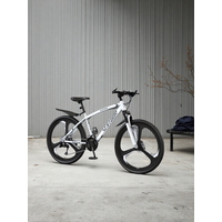 AliExpress NONE Adult Student Off-Road Male and Female Road Variable Speed Racing