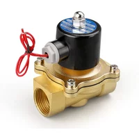 1/4''3/8''1/2''3/4" 1" 2" Brass Electric Solenoid Valve DC12V DC24V AC220V 110V Normally Closed Solenoid Valve For Water Oil Air