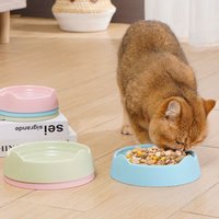 Practical Plastic Cat Bowl Solid Color Large Capacity Kitten Food Container Portable Multipurpose Pet Supplies