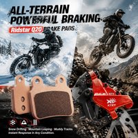 Ridstar Q20 Sintered Brake Pads High Temp Resistant for EKX X21 Max Freego X2 KTET XD-KL.BS Motorbike Replacement