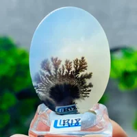 Natural Dendritic Agate Crystal Slice Energy Reiki Spiritual Meditation Healing Home Feng Shui Decoration+Bracket