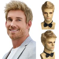 BCHR Mens Blonde Wigs Natural Fluffy Layered Synthetic Hair Daily Halloween Wig for Men Male