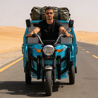 3 Wheel Cargo Tricycle 45km/h 1000kg Load Waterproof Long Range Delivery Bike CE & COC Certified Heavy Duty Cargo Tricycle