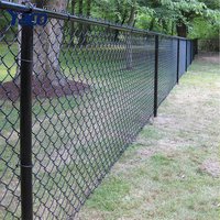 Custom 50ft Roll PVC Coated Galvanized Steel Diamond Cyclone Wire Mesh Chain Link Fence High Strength Nature Use