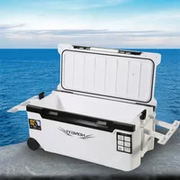 Outdoor Fishing Cooler Box, Tackle Box, Fish Storage Tools, Light Weight, Portable Air Holes, 22L