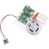 300 Second Recording Playback Module Key Recording Greeting Card Sound Recorder Board Clear Sound Quality