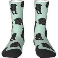 Black Labrador Retriever Dog Socks Harajuku High Quality Stockings All Season Long Socks Accessories for Man's Woman's