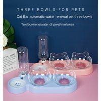 Fournitures pour animaux de compagnie Bols surélevés pour chats et chiens Mangeoires doubles durables pour chats et chiens Fournitures d'alimentation et de boissons surélevées pour chats