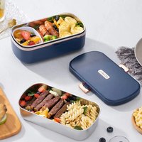 220V Electric Lunch Box 900ml Portable Rice Cooker Water Free Heating Bento Box Thermostatic Heating Food Warmer For Office