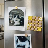 Egg Holder Refrigerator Magnet Blackboard and Whiteboard Photo Message Magnet Stickers, Personalized Eggs Tray Shape Home Decor