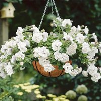 Plant Holder,Flower Pot Hanger,Garden Decoration Coconut Planter, Hanging Baskets for garden,Natural Coconut Liners for Planters