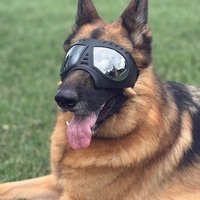 Pet Glasses for Medium Large-size Dog Supplies Snow-proof UV-blocking Wind-resistant Goggles Sunglasses Mask Adjustable Straps
