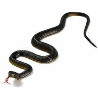 1pc 45cm Artificial Simulated Snake Black Rubber Fake Snake Home Decor Garden Decor Stage Props Photography Props Children Toys