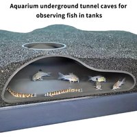 The Aquarium's Underground Tunnels Feature Natural Curves, And Sandpit Tunnels Provide Hiding Places For Fish And Shrimp.