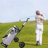 Golf Pull Cart Iron Black Adjustable Trolley Cart 2 Wheels Push Pull Golf Cart Alloy Foldable Trolley With Brake