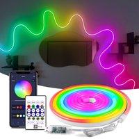 DC5V USB RGBIC Neon LED Strip Light 5M WS2812 Waterproof Neon Sign Tape Remote Control For Room Wall Decor Fairy Light