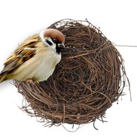 Round Rattan Bird Nest Easter Handmade DIY Craft Vine Simulation Bird Nest Egg Decor Props Home Garden Window For Pigeons Parrot