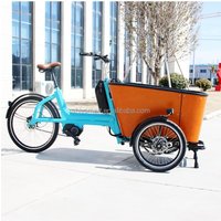 AliExpress YTYIN Factory Direct Sales High Quality Electric Cargo Bike Twin Baby Stroller Tricycle Cargo Bike Hydraulic Disc Brake