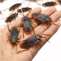 5-50Pcs Special Lifelike Model Simulation Fake Rubber Cock Cockroach Roach Bug Roaches Toy Prank Funny Trick Joke Simulation Toy
