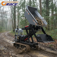 Hot Sale Mini Crawler Dumper High Loading Capacity Light Duty Dump Truck with Low Fuel Consumption