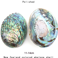 12-16CM Natural New Zealand Abalone Shell Seashell Beach Wedding Decoration for Home Aquarium DIY Jewelry Making Material Crafts