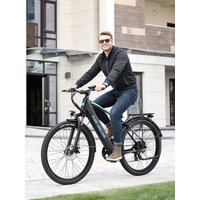 AliExpress PURE UNICORN U3 48V 750W 12.8Ah Adult Electric Bike 29 Inch Ebikes 45KM/H Electrical Bicycle 60KM Cheap Electric Mountain Bike