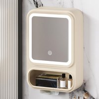 Bathroom Vanity Mirror Cabinet Bathroom Vanity Mirror With Storage Storage Organizer With LED Lights Magnetic Door Tissue