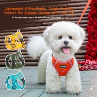 Dog Harness Leash Breathable Mesh Small Dog Cat Lightweight No Pull Soft Puppy Reflective Adjustable Pet Vest Harness Walking