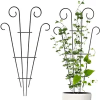 2 Outdoor Climbing Plant Trellises, Black Trellises, Garden Metal Support Piles, Indoor and Outdoor Grape Blossom Vegetables