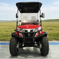 Dylante New 4 Seater Electric Golf Cart Hunting Buggy Car 2 Rows Golf Cart With Bumper Starry Sky Roof Seat With Headrest