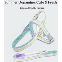 New arrival dog leash dog leash lightweight saddle pet harness small and medium dog chain dog harness