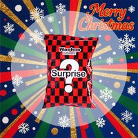 24 Christmas Countdown Surprise Blind Bags with 1:64 Scale Alloy Cars, Exquisite Die-Cast Alloy Racing Car Models for Children and Adults