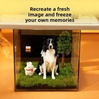 Acrylic Pet Holographic Projection Digital House 3D Pet Projection Souvenir Tool Cat Projection Box Pet Souvenirs