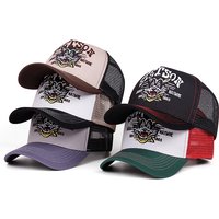 2025 Cartoon New Baseball Hat STETSON Cartoon Cat Truck Hat Daily Leisure Commuting Sunshade Net Hat Street Hip Hop Hat Unisex
